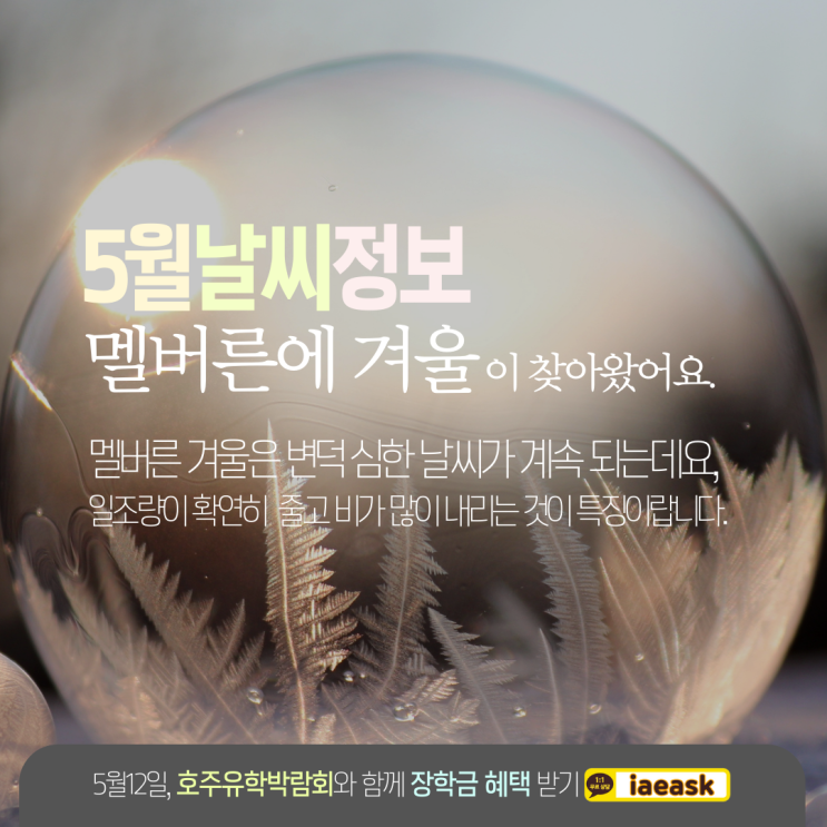  호주 멜버른 5월 날씨, 겨울이 시작되는 시기 (유학네트 멜번)