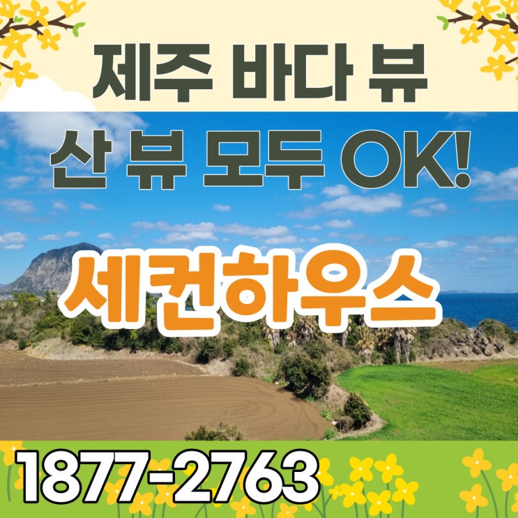  제주도 세컨하우스 전망 끝판왕 미하스빌리지 산방산과 송악산을 잇는 제주타운하우스매매