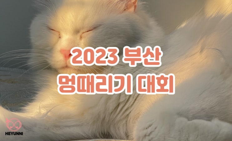 2023 부산 해운대 멍때리기 대회 :: 이번에는 특별상도 있다고??