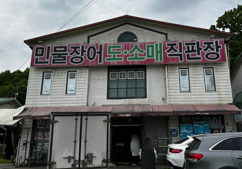 보아스장어 사진 3