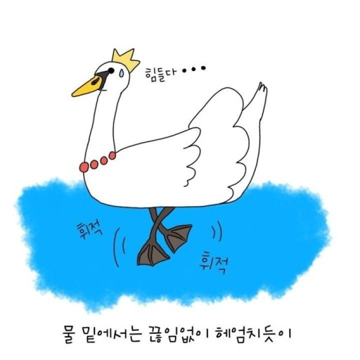  주절주절 수영일기 ) 어쩌다 보니 중급반 수린이가 되었다