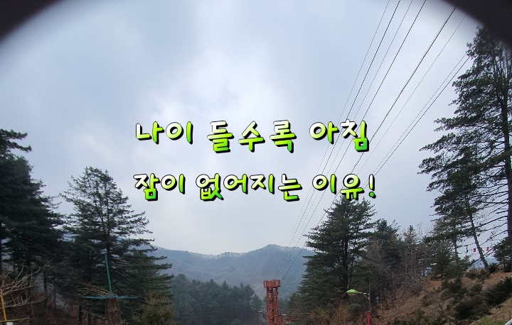 나이 들수록 아침 잠이 없어지는 이유! 나이 들수록 아침 잠이 없어지는 이유!