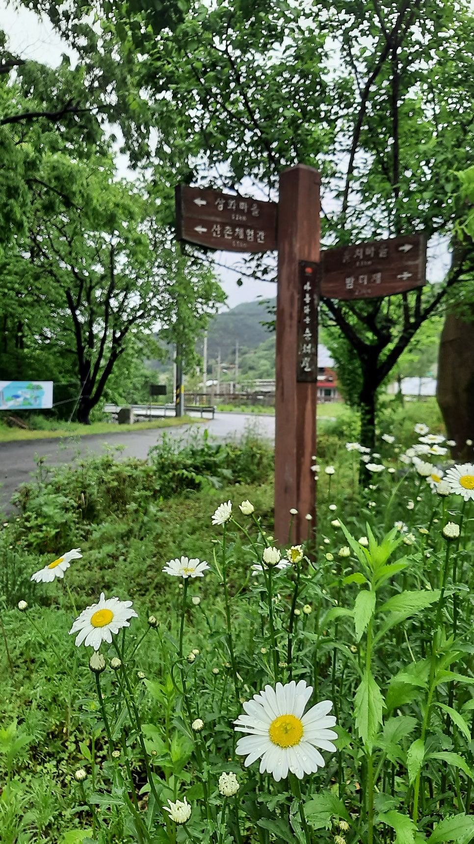 아름다운순례길 7코스 사진 5