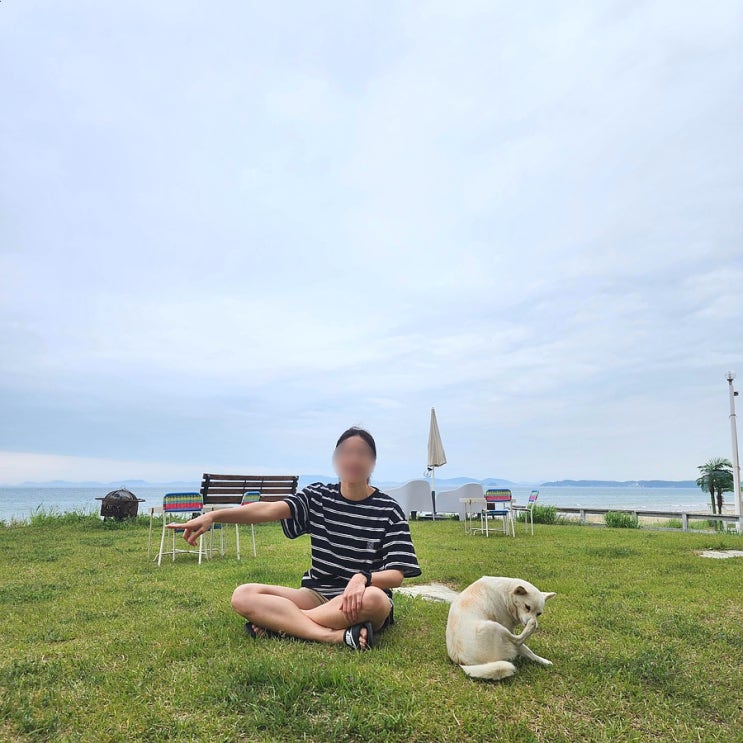  태안 펜션 청포대해수욕장 그녀의바다 내돈내산 가성비 오션뷰 해루질 대만족