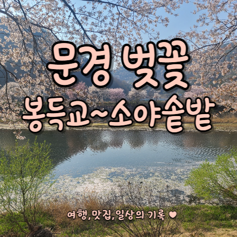  [문경새재] 나만 알고 싶은 숨은 벚꽃 명소 조령천 "소야솔밭~봉득교" 다녀온 후기 _ 23.4.3