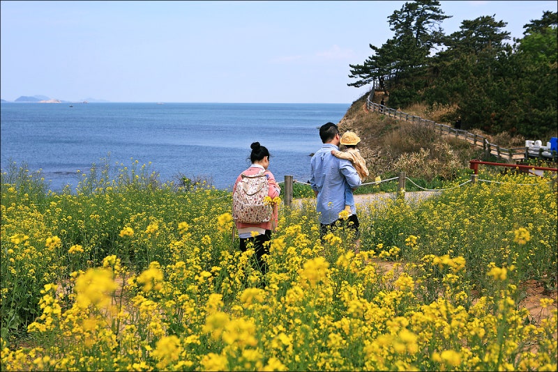 부안 변산반도 가볼만한곳 변산반도 국립공원 여행 부안 수성당 유채꽃밭 적벽강 부안바다 유채꽃명소 : 네이버 블로그