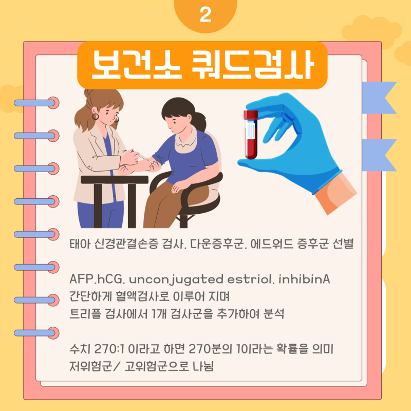 임신 기형아 검사 :: 쿼드 , 니프티검사, 양수검사 비용 W. 다운증후군 & 에드워드증후군 : 네이버 블로그