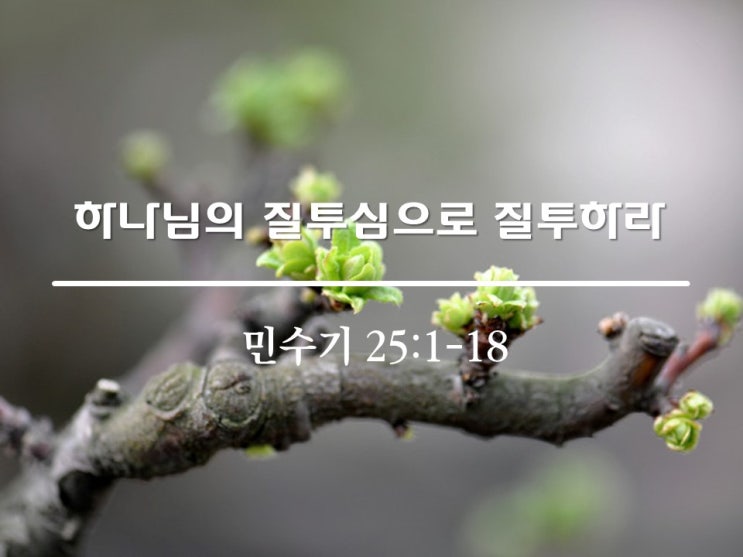  하나님의 질투심으로 질투하라 / 민 25:1-18