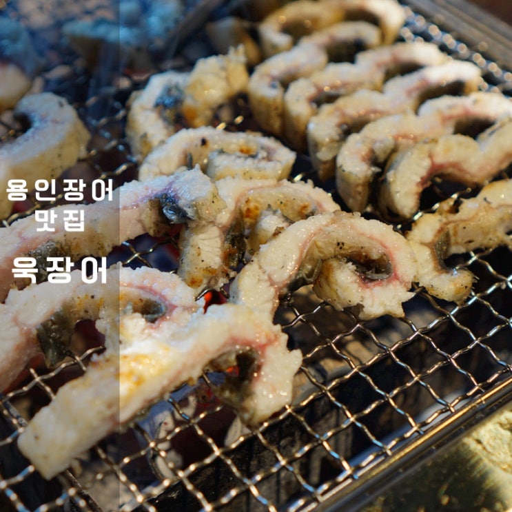  기흥 고매동 맛집 욱장어 여름 보양식 장어구이 장어탕