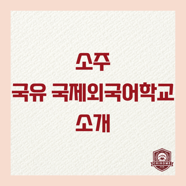  중국유학,중국조기유학 ( 소주 국유 국제외국어학교 소개 )
