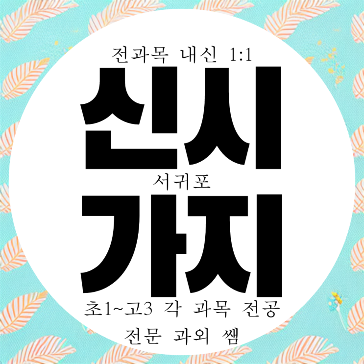  서귀포 신시가지 고등 국어과외 강정동 중등 영어과외 한국사까지 준비완료