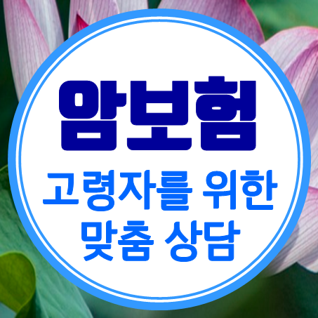  실버암보험 가격 어르신을 위한 소멸성 순수보장형암보험 비교 견적 받아보세요.