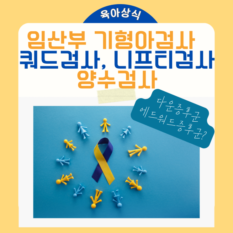  임신 기형아 검사 :: 쿼드 , 니프티검사, 양수검사 비용 w. 다운증후군 & 에드워드증후군