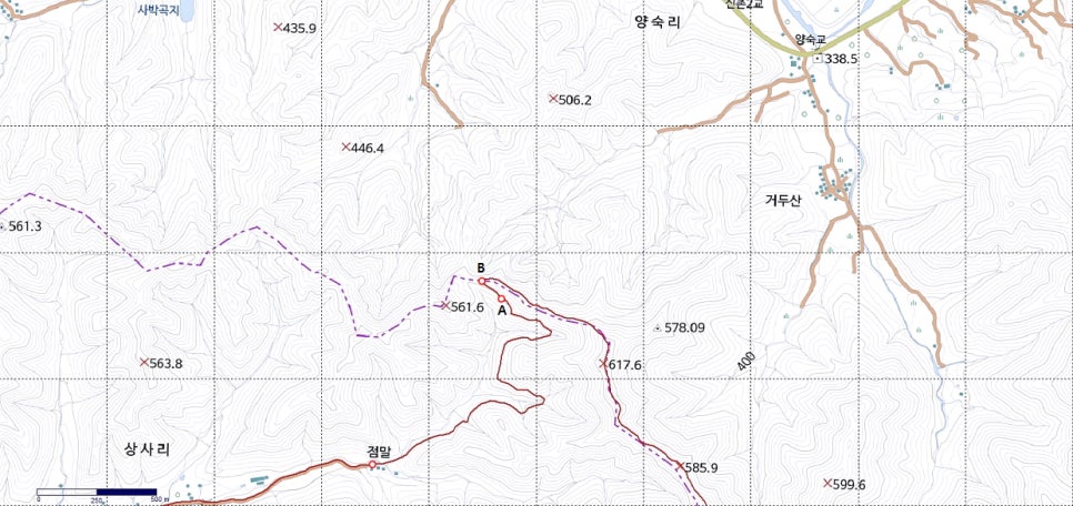 송이골 사진 3