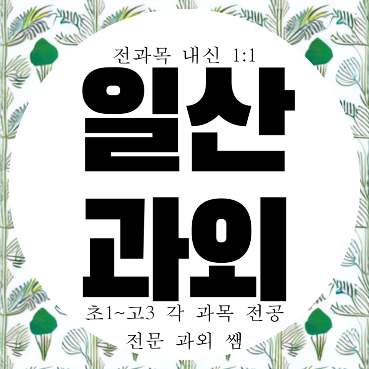  일산 마두동 고등 국어과외 백마학원가 중등 과학과외 영어