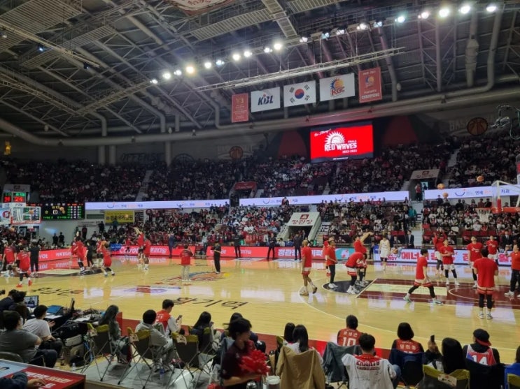  [안양실내체육관/농구] KBL 챔프 7차전 직관 후기(+2구역 시야/우승 파티)