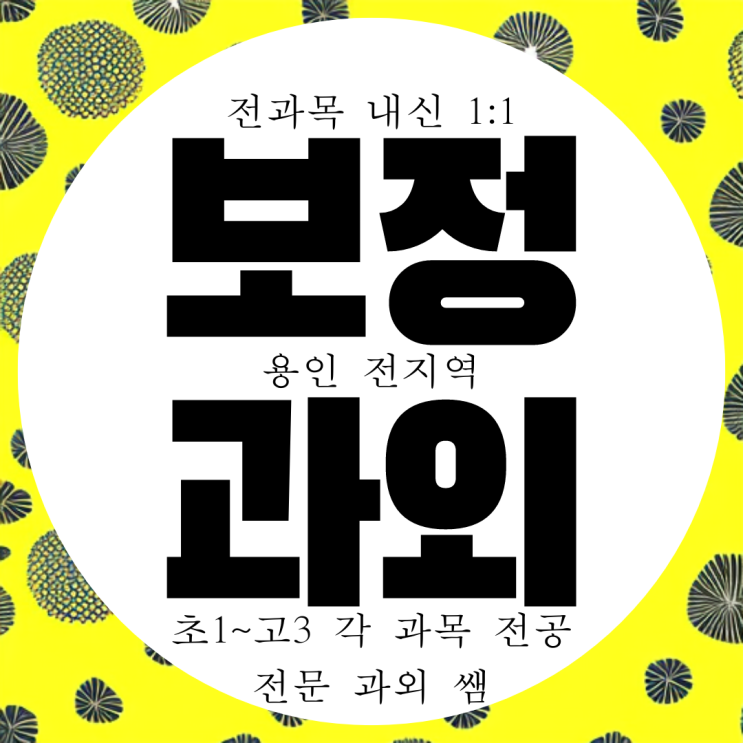  용인 수학과외 영수 중등 보정동 고등 국어과외 죽전동 과학