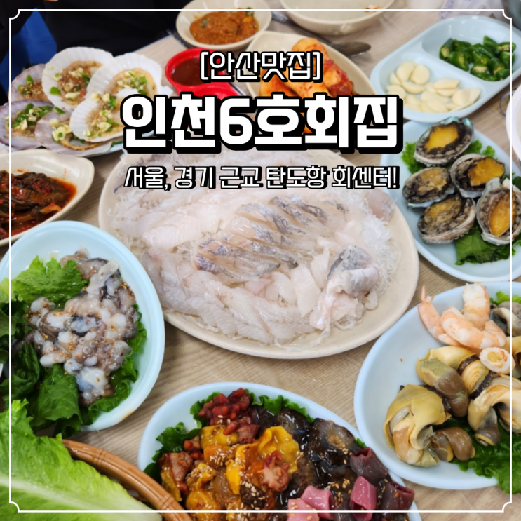  탄도항 맛집 회센터 인천6호회집