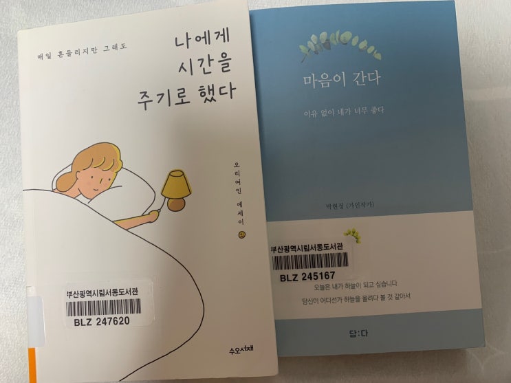  [독서 4] 금정구 서동도서관 책대출 방문기