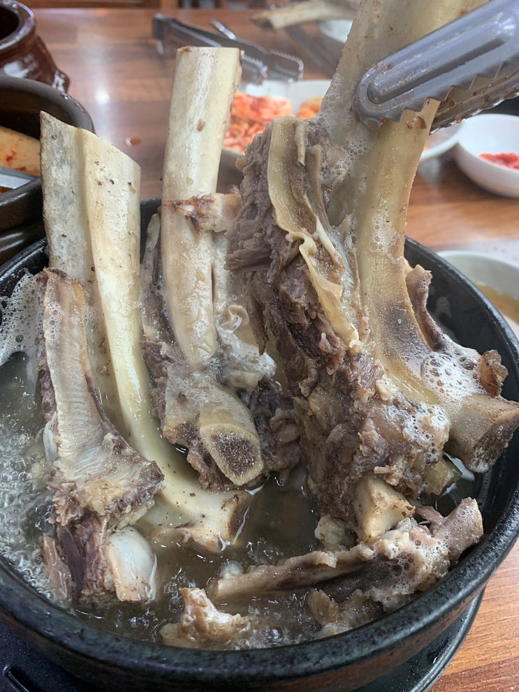  수원 갈비탕 맛집) 왕갈비탕 맛집 '경성집' 단골맛집 추천