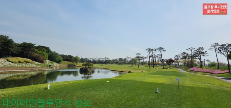  충남 당진 파인스톤CC 스톤, 파인코스 2023년 5월초 라운딩 후기