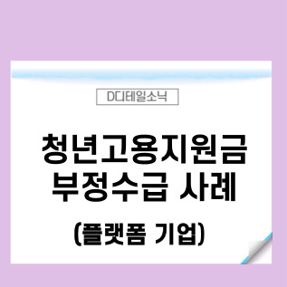  청년고용지원금(청년채용특별장려금) 부정수급 환수 사례