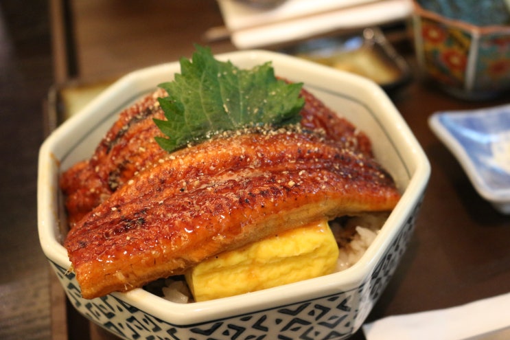  안양 평촌역 분위기 좋은 일식당 모리코무 / 카이센동 , 우나기동 맛집 추천