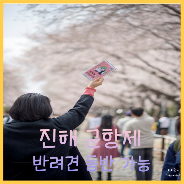  진해군항제 축제후기 1탄 경화역,반려견동반가능