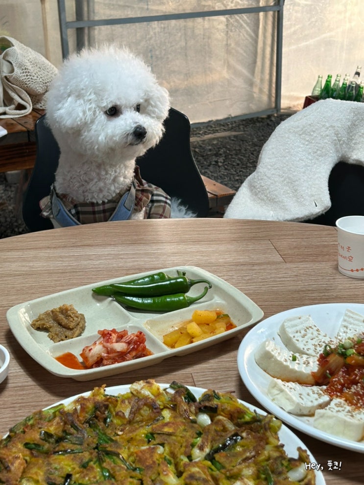 경남 창녕 맛집 번지없는주막 마운틴 뷰가 장난아니다! 드라이브하기 좋아
