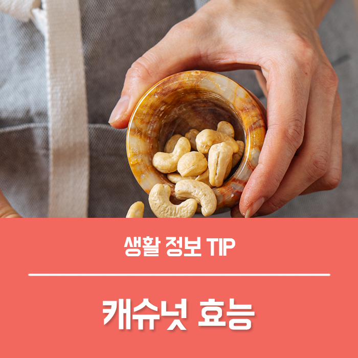 캐슈넛 효능 BEST5, 캐슈넛 하루 섭취량  칼로리 부작용은?