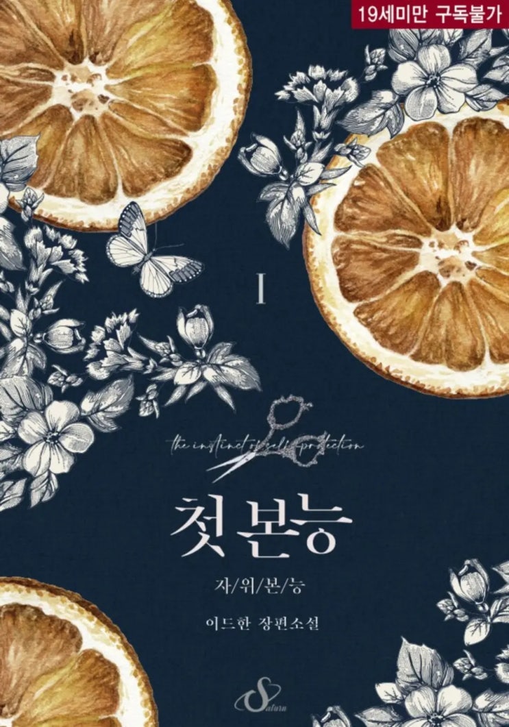 로맨스 소설 리뷰) 이드한(rainbowbees)-첫 본능 로맨스 소설 리뷰) 이드한(rainbowbees)-첫 본능