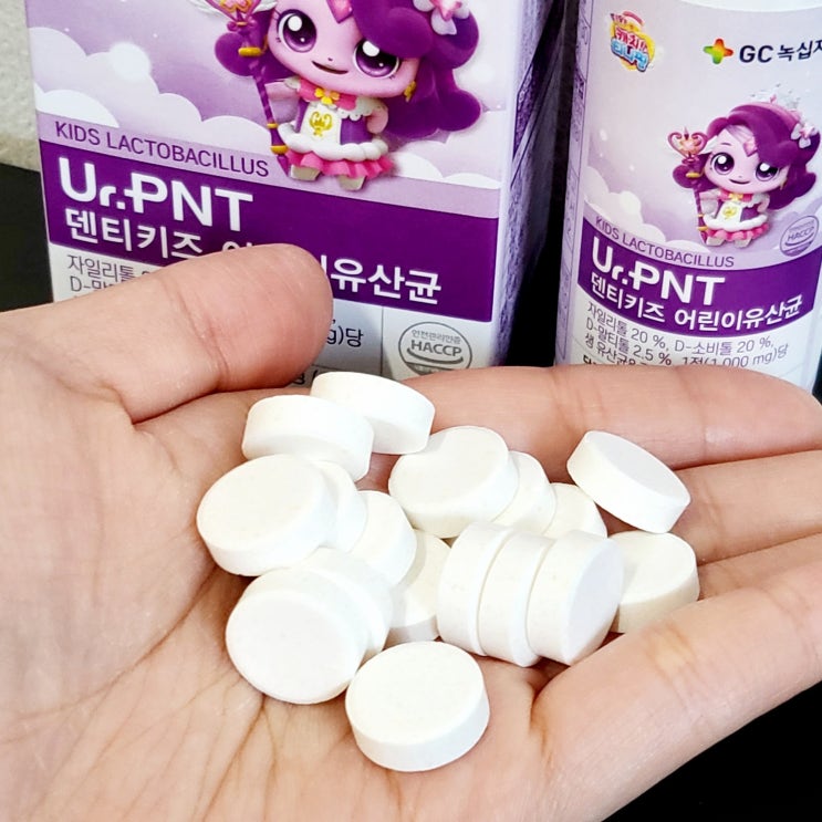 캐치티니핑 초등학생 구강유산균