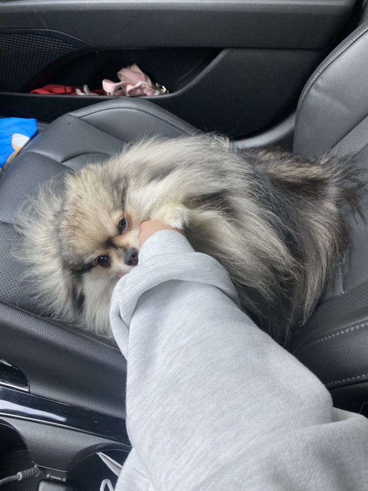 차 안에서 만지작중