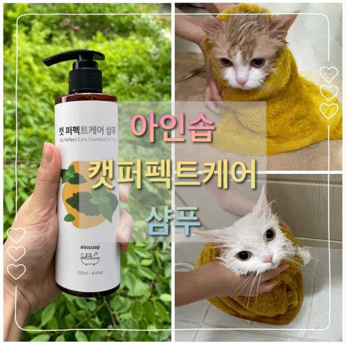  아기 고양이 목욕 아인솝 캣퍼펙트케어 샴푸로 스트레스 줄이기 / 사용 후기 / 성분 효능