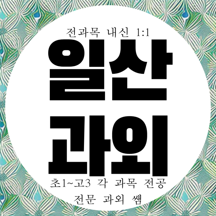  일산과외 식사동 고등 국어과외 풍산동 중등 사회 영어과외 정시 내신 준비