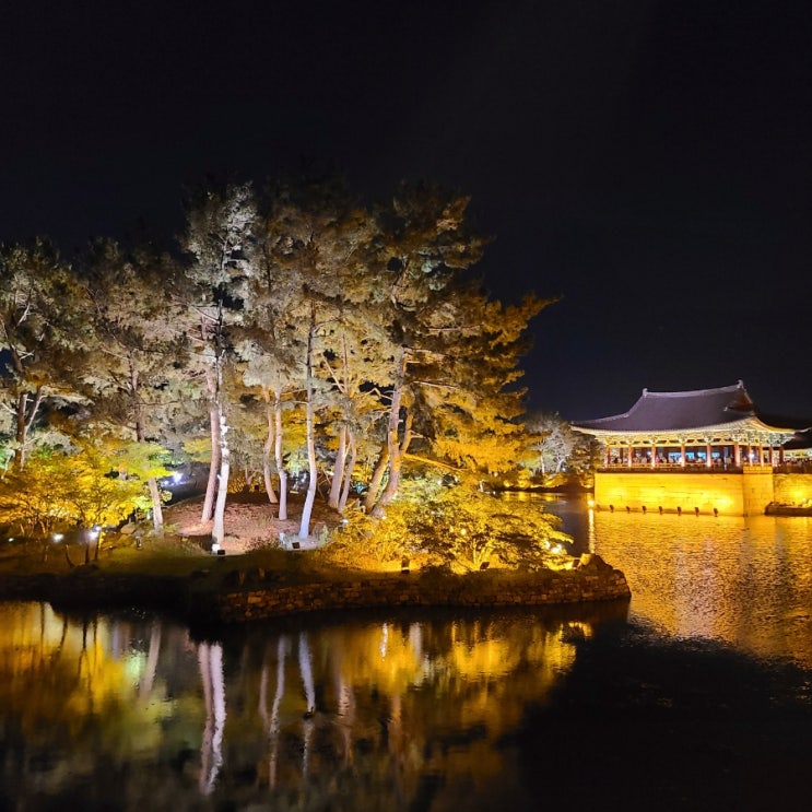  [경주 여행] "동궁과 월지" :: 경주 야경 명소, 입장 요금, 주차장, 포토존, 안압지