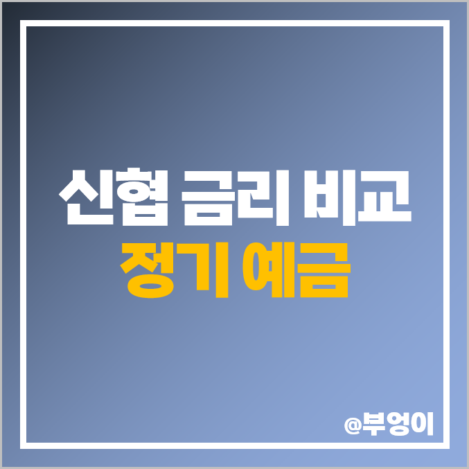 신협 정기 예금 금리 비교 : 특판 이자 높은 곳, 대구, 제주 및 예금자 보호 한도 신협 정기 예금 금리 비교 : 특판 이자 높은 곳, 대구, 제주 및 예금자 보호 한도