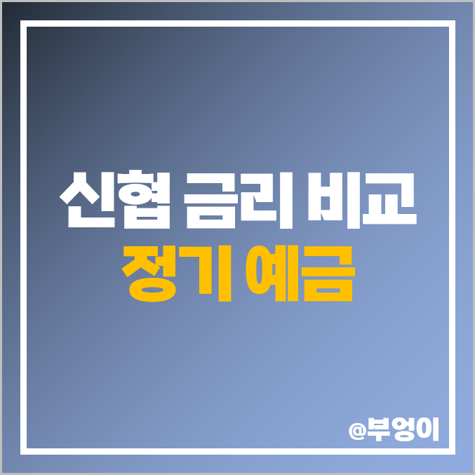 신협 정기 예금 금리 비교 : 특판 이자 높은 곳, 대구, 제주 및 예금자 보호 한도