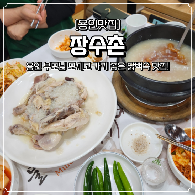  용인 닭백숙 맛집 장수촌