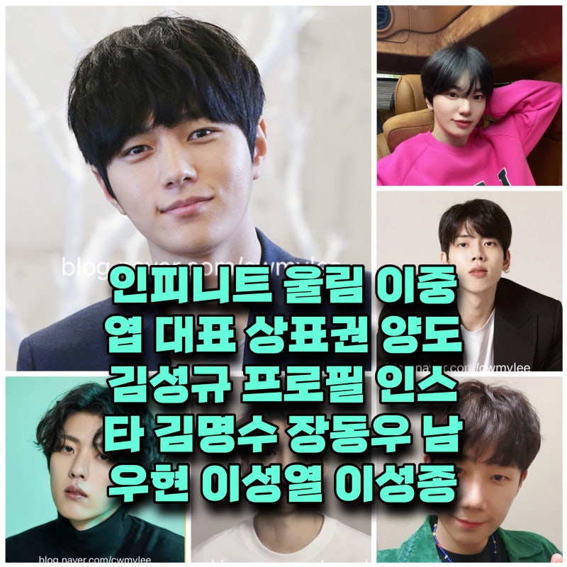 인피니트 울림 김성규 대표 프로필 인스타 나이 키 엘 군대 근황 ⭕️김명수 장동우 남우현 ....