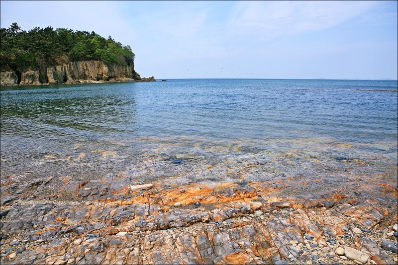 부안 변산반도 가볼만한곳 변산반도국립공원 부안 수성당 유채꽃밭 적벽강 부안바다 유채꽃명소 : 네이버 블로그