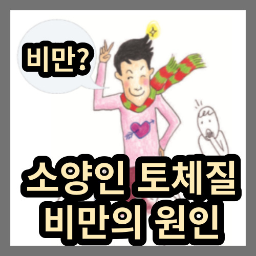  소양인, 토양체질의 비만 원인, 특징