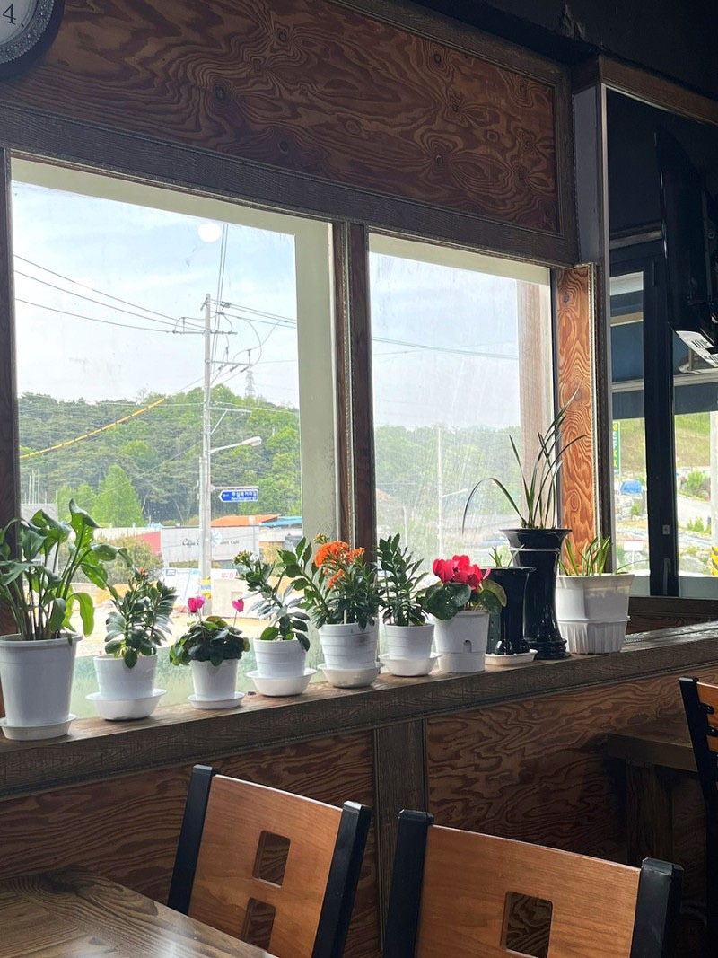 밀향기 사진 6