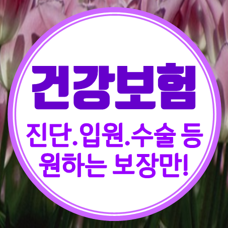  비갱신종합보험 가입 진단비 입원비 수술비 등 비갱신형건강보험 가격 알아보세요.
