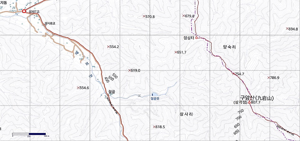 송이골 사진 4