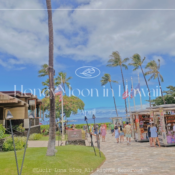 하와이 여행 마우이 섬 신혼여행 /골프, 맛집, 할레아칼라