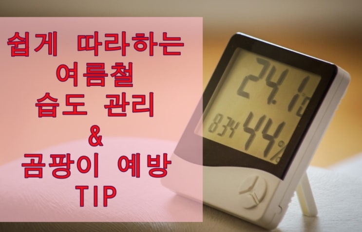  쉽게 따라 하는 여름철 습도 관리 및 곰팡이 예방 팁 공개