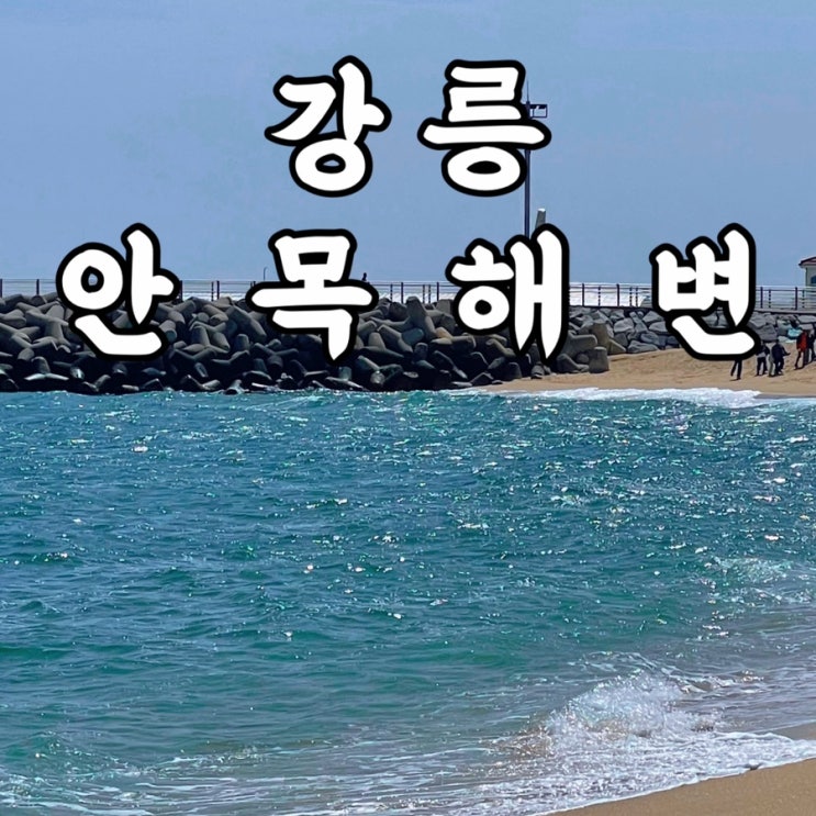  강릉여행 안목해변 강릉카페거리 커피는 맛이 없고 바다는 예뻐요