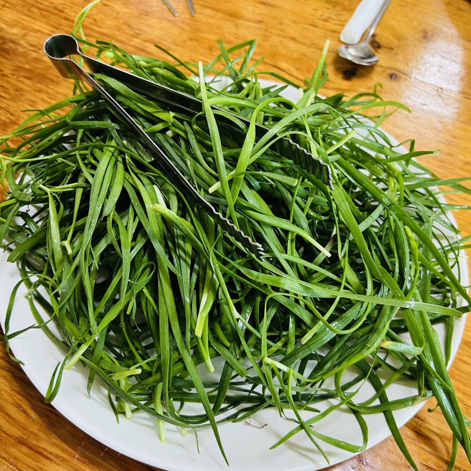 양지고을 사진 5