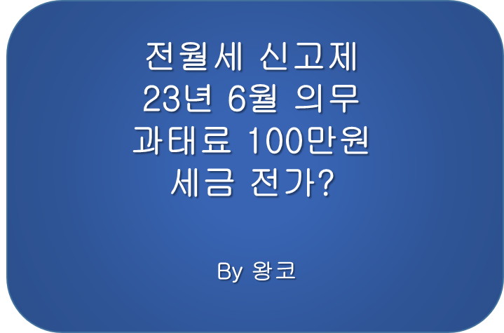  전월세 신고제 6월 1일 본격 시행 과태료 종합소득세